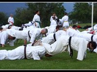 2016-06-22 294-border